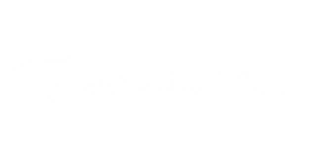 SolarWinds SolarWinds