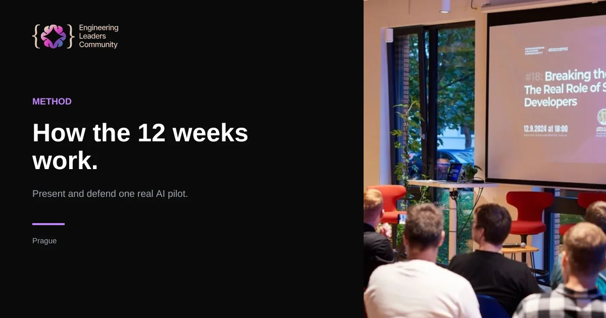 How the 12 weeks work, Executive AI Program